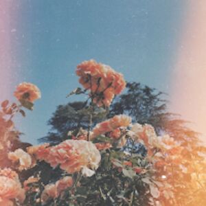 fruitymelonade avatar