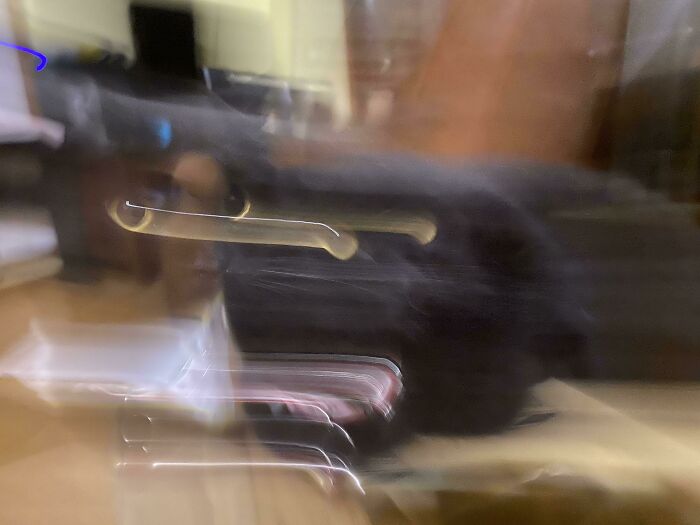 Funny-Blurry-Pictures-Of-Cats