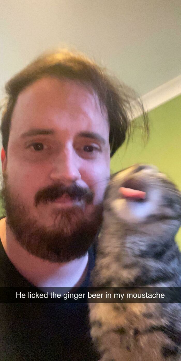 Funny-Blurry-Pictures-Of-Cats