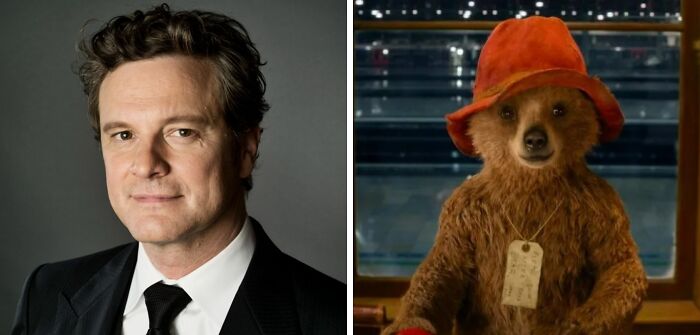 Colin Firth as the voice of Paddington and picture of Paddington sitting