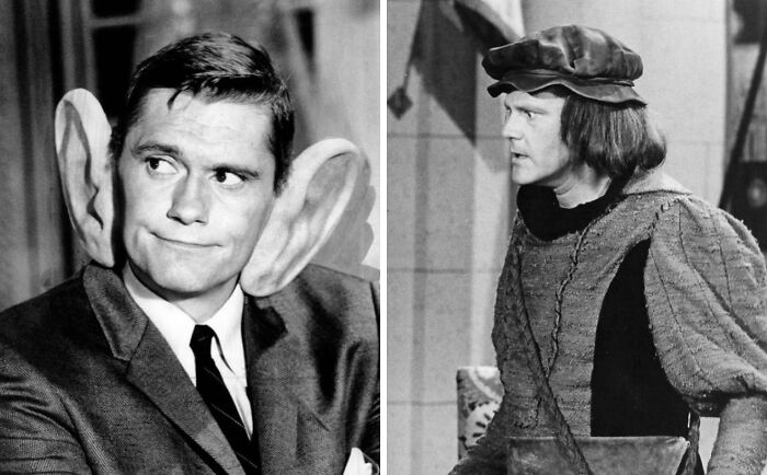 D**k York as Darrin Stephens in Bewitched and D**k Sargent as Darrin Stephens