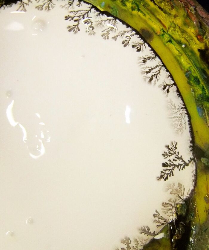 Pouring Some White Paint On An Old Palette Yielded Unintentional Branches