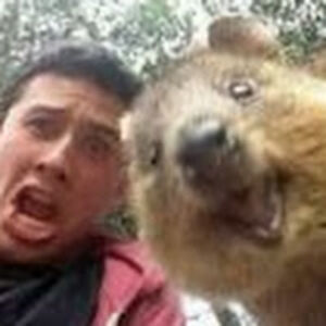 robertmaybeth_1 avatar