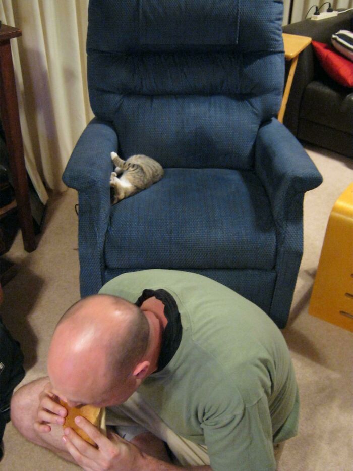 Mi marido: Si te quieres sentar, solo saca al gato. También mi marido: ¡Está durmiendo! Yo puedo comer en el piso 