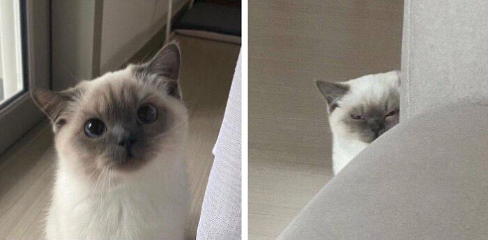 I Can Be Your Angel Or Your Devil