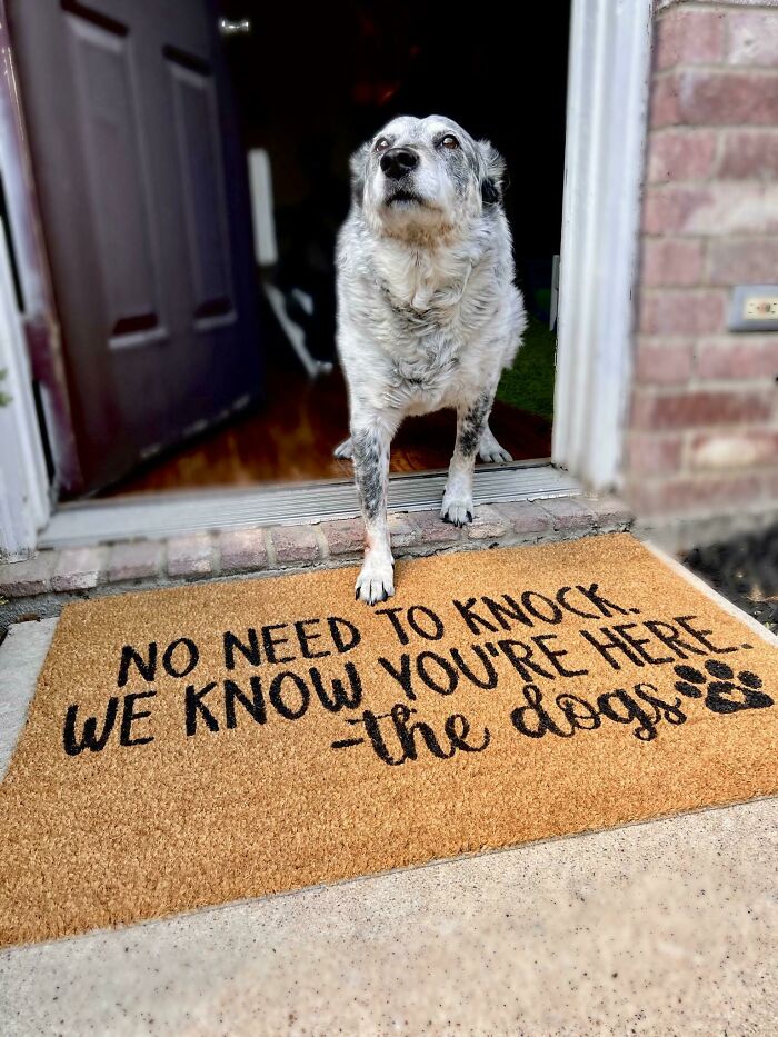 This Face Greets You At The Door. Wdyd?