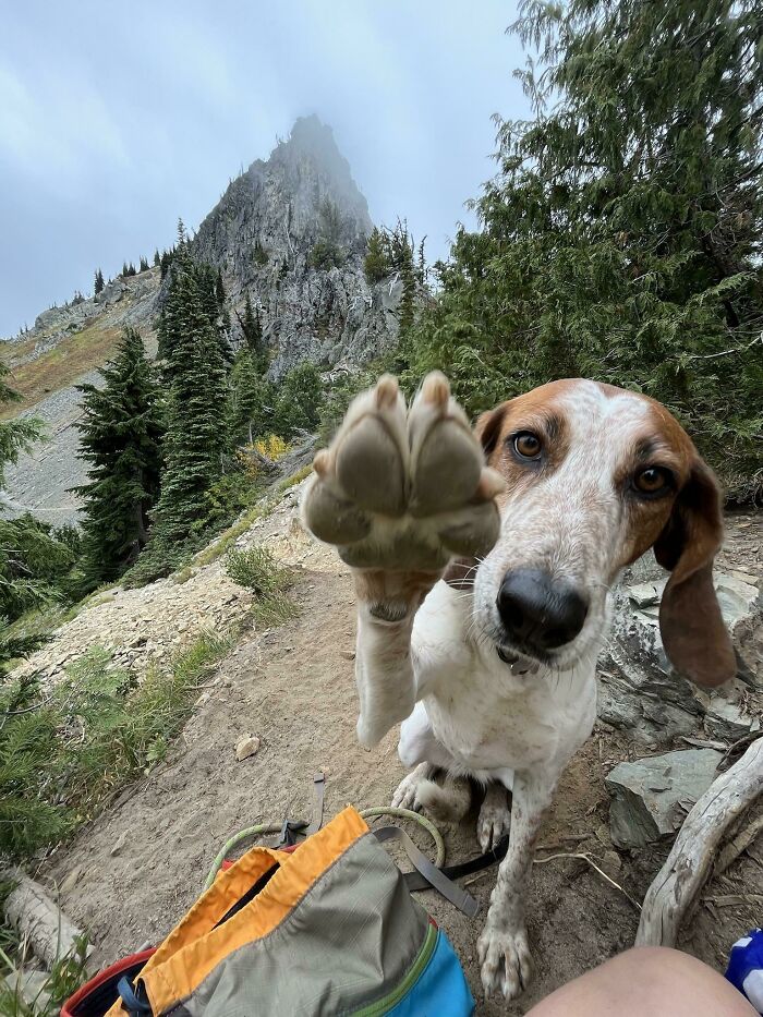 Retired But Still Adventuring