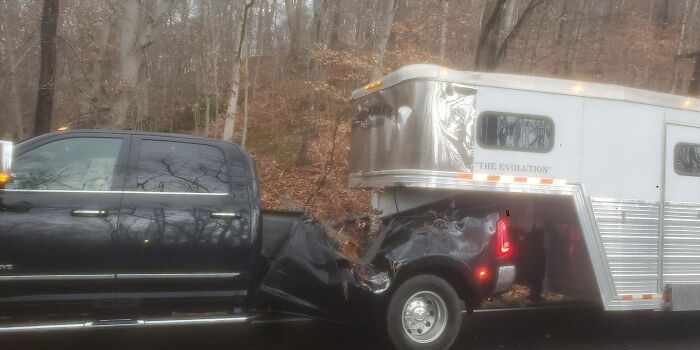 Friend Was Driving Down The Road And A Tree Fell On The Bed Of His Truck, Missing Passengers In The Back Seat And Horses In The Trailer He Was Pulling