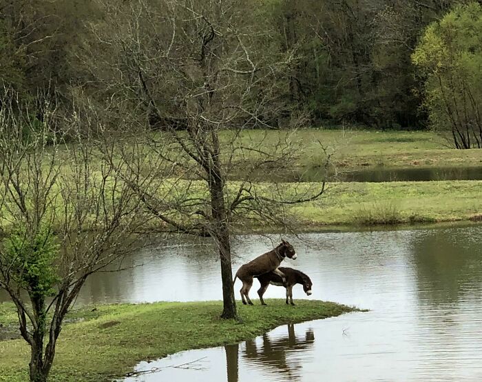I Was Giving A Tour Of My Family’s Wedding Venue And This Happened…
