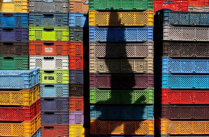 Here Are The 50 New Most Jaw-Dropping Animal Photos, As Shared By “The Decisive Moments Magazine”