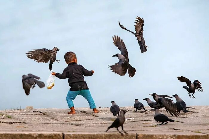 Here Are The 50 New Most Jaw-Dropping Animal Photos, As Shared By “The Decisive Moments Magazine”