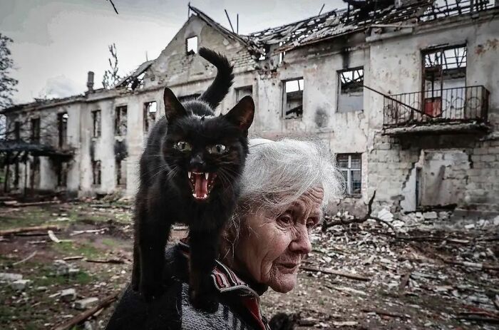 Here Are The 50 New Most Jaw-Dropping Animal Photos, As Shared By “The Decisive Moments Magazine”