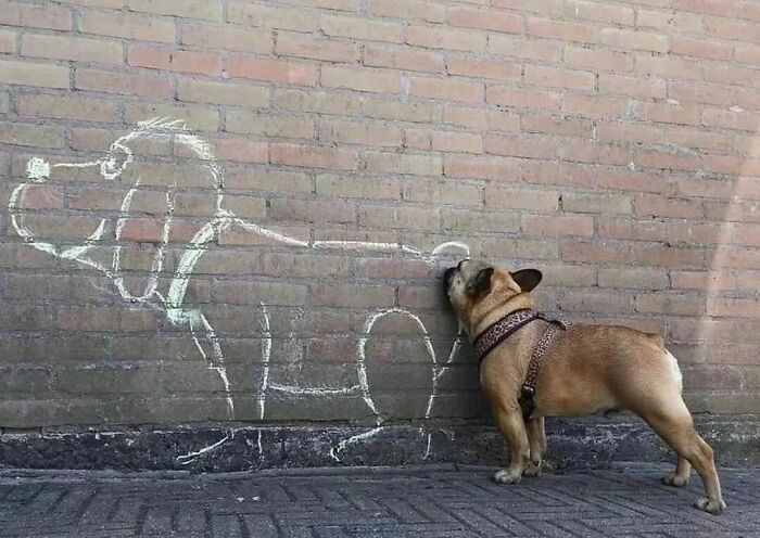 Here Are The 50 New Most Jaw-Dropping Animal Photos, As Shared By “The Decisive Moments Magazine”