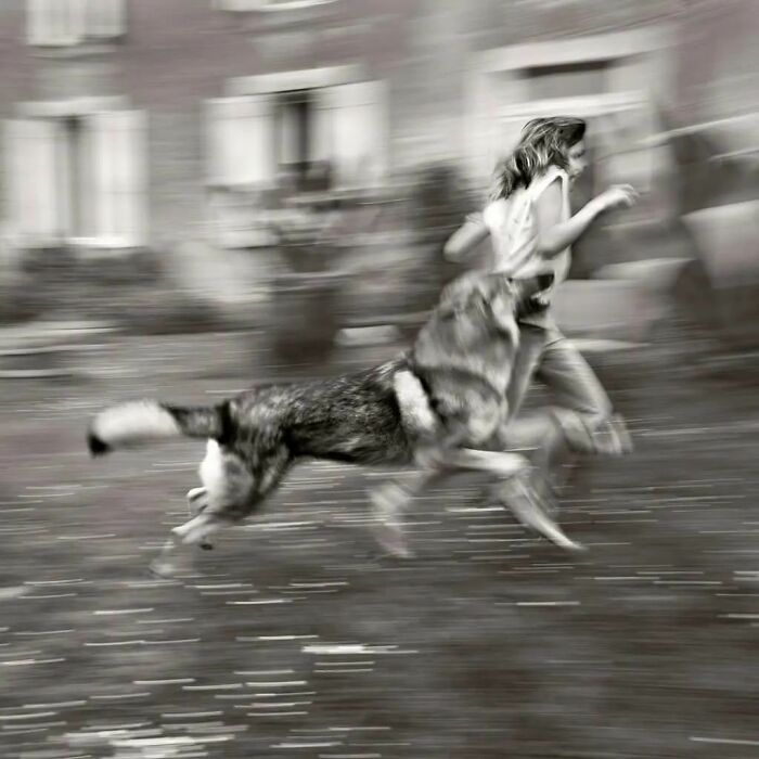 Here Are The 50 New Most Jaw-Dropping Animal Photos, As Shared By “The Decisive Moments Magazine”