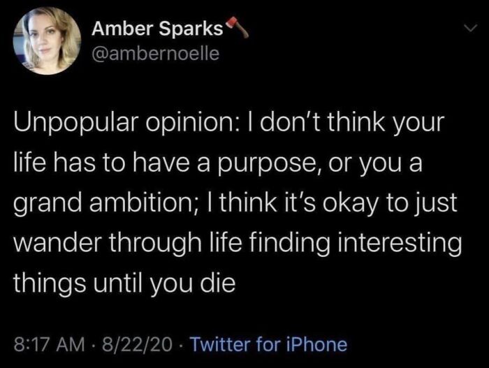 Funny-Childfree-Life-Humor