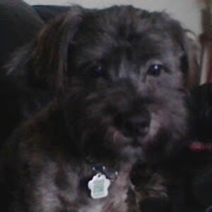 ashl6560ashl6560 avatar