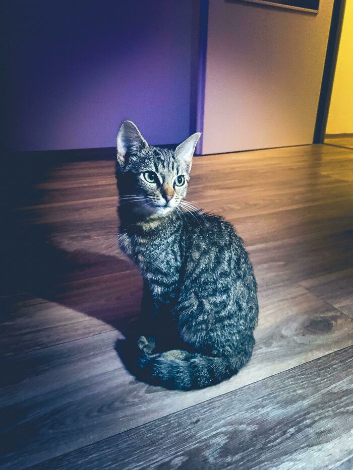 So I Found Out GF Is Cheating On Me