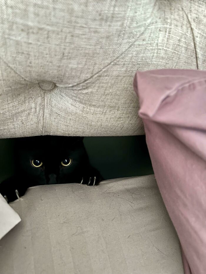 He’s Trying To Lure Me Behind The Bed With Red Balloons