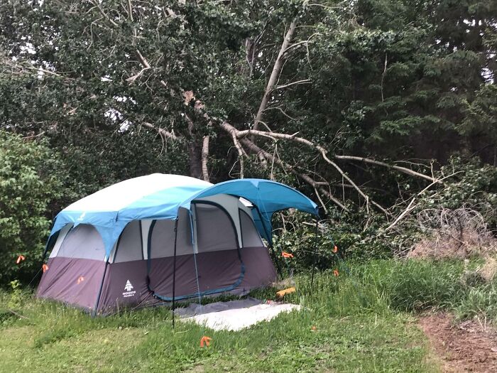 My God, I Almost Died