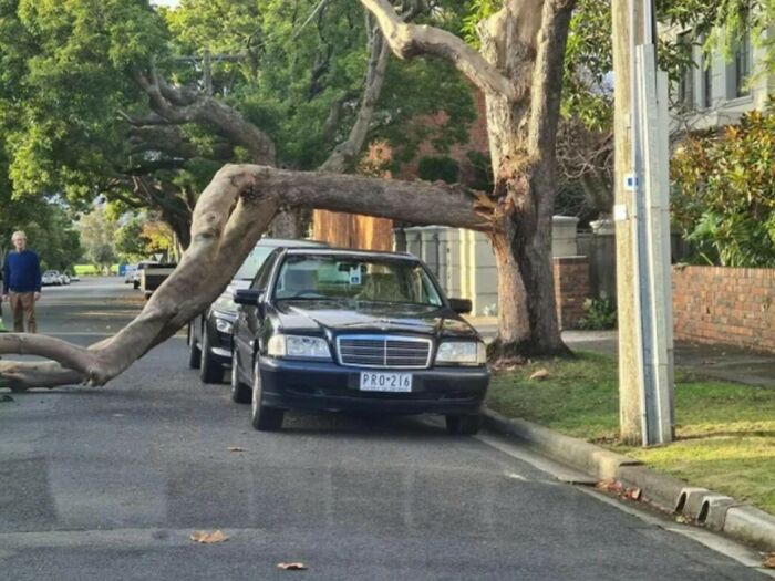 Well, That Was Lucky