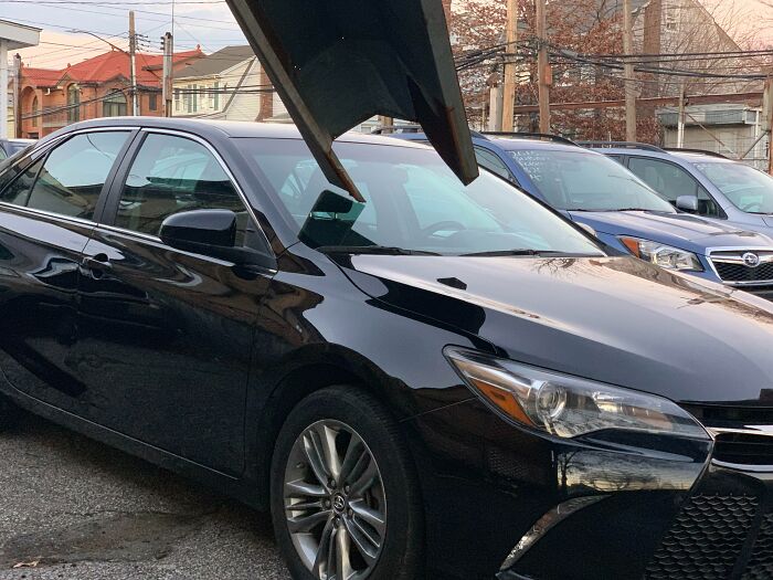 Very Very Fortunate Dealership