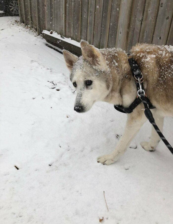 My Baby Will Be 18 Years Old In 2 Days. I’m So Proud Of This Girl