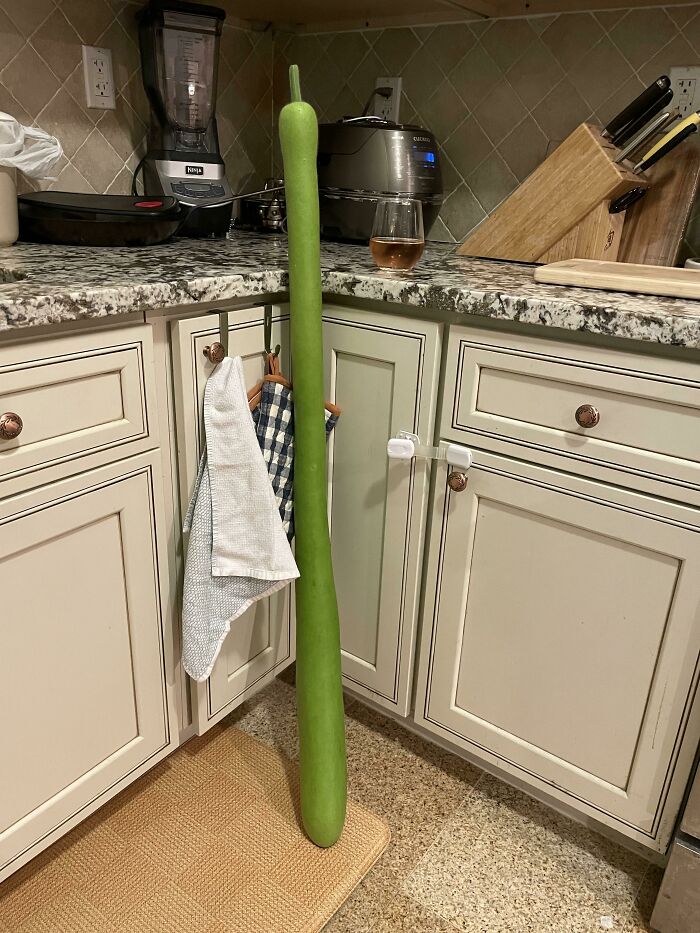 Given To Us By Asian Neighbor Who Grows Them At Home
