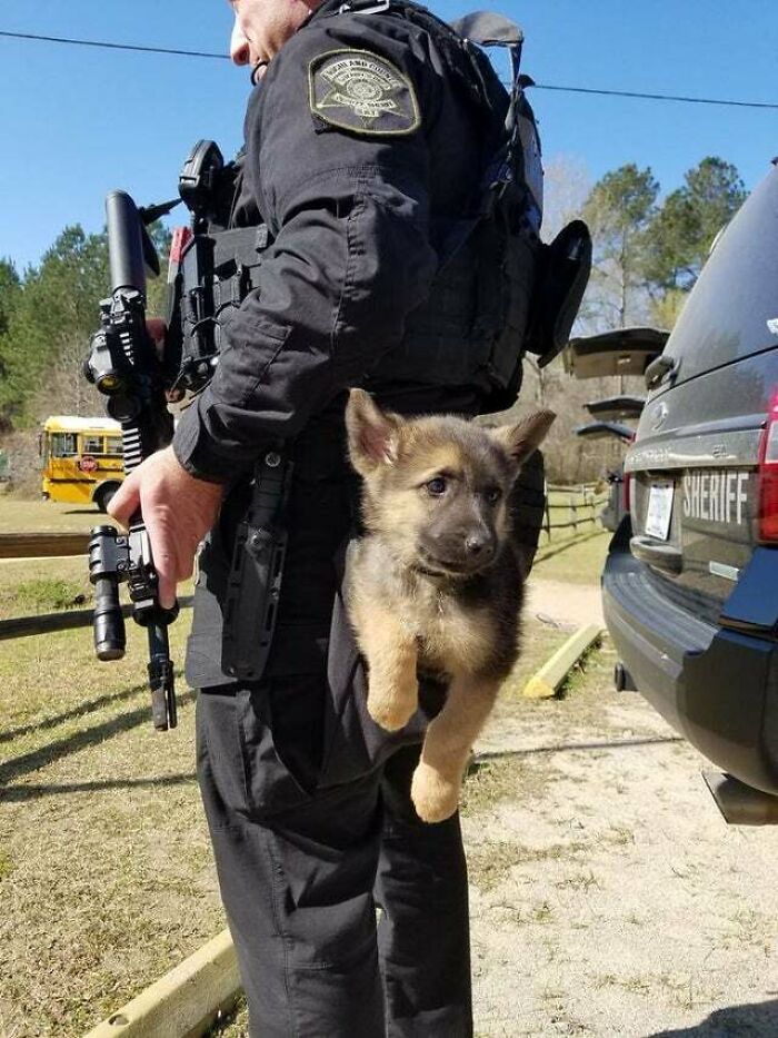 Agente de policía en uniforme sosteniendo un cachorro de pastor alemán, una de las fotos más puras de perretes.