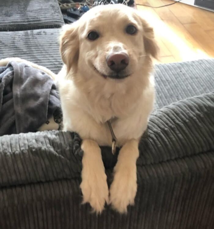 When You Tell Her A Story That She Doesn't Understand, But She Loves You Anyway