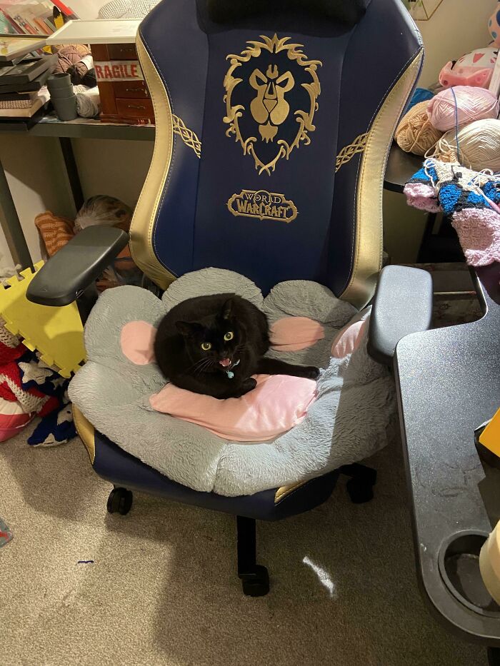 The Audacity To Steal My Seat Then Yell At Me!!