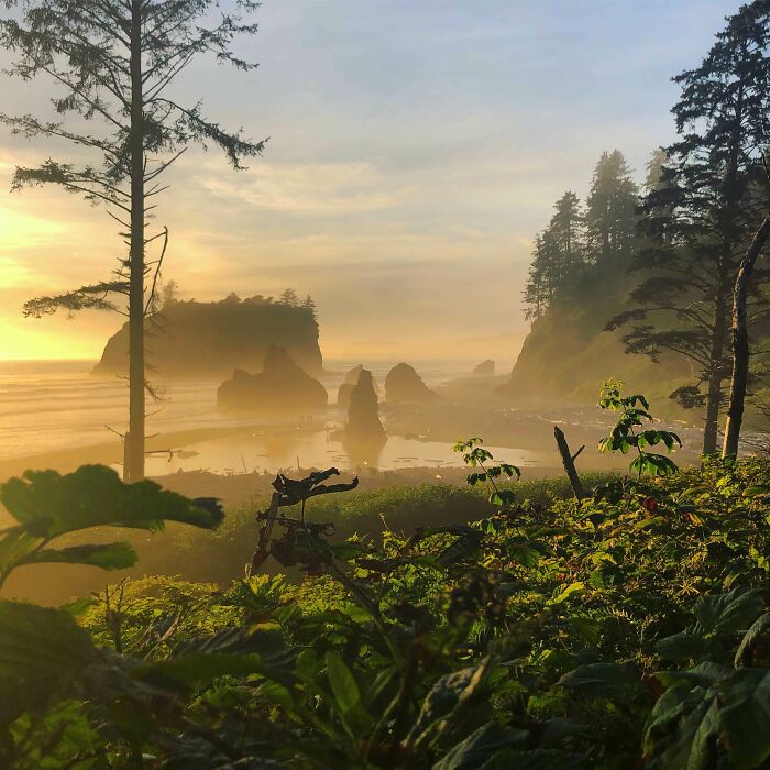 Ruby Beach, WA. Looks Like Jurassic Park
