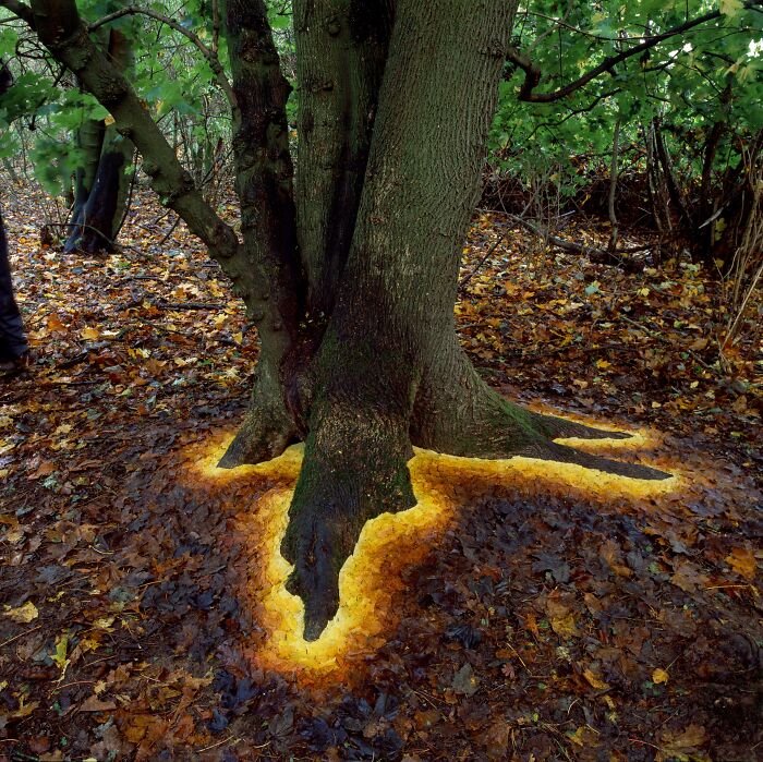 Glowing Base Of Tree Made By Arranging Leaves. Looks Almost Like A PS2 Game