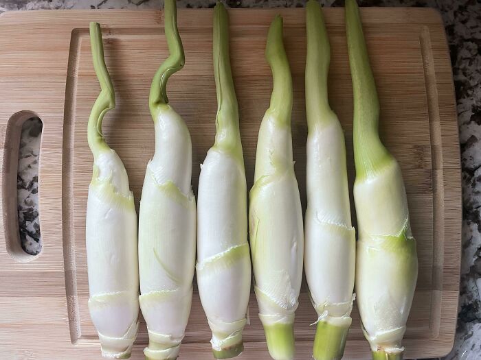 Given By Neighbor Who Doesn’t Speak English And I Don’t Speak Chinese