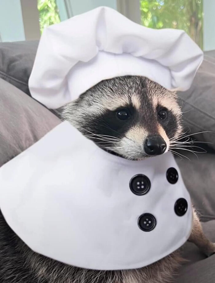 Hes Going To Make You Fried Eggs