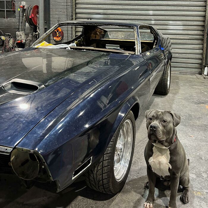 He Comes To Work With Me Every Day