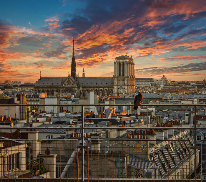 Notre Dame cathedral in Paris 