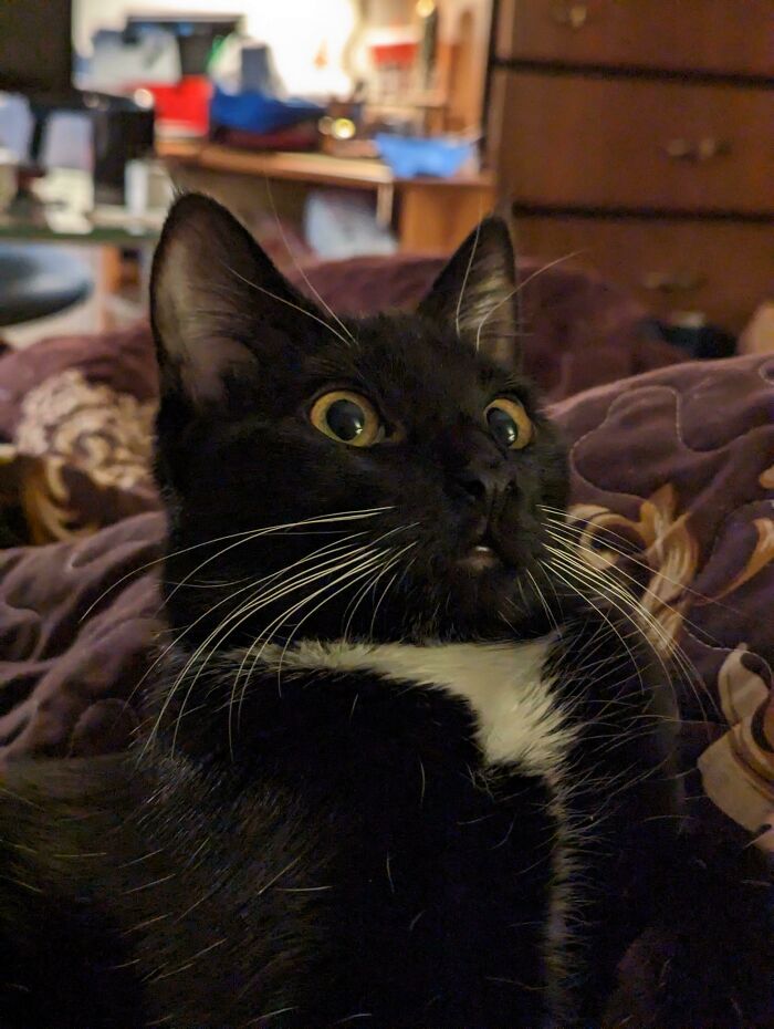 I Told Her That She's Adopted