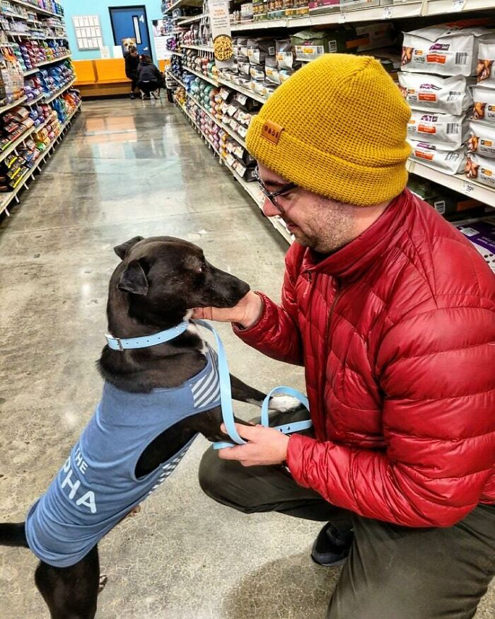 Say Hello To Moose, Our Newly Adopted Pup