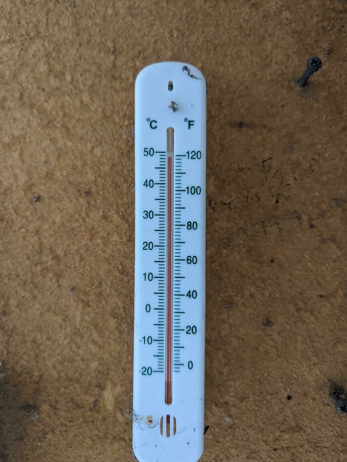 Sí, vaya. Podría aplazar la limpieza del cobertizo...