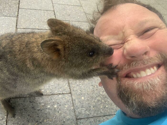 Mi selfie con un Quokka