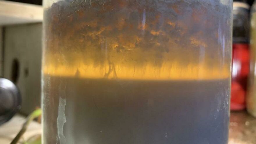 If You Zoom In It Looks Like A Turner Landscape