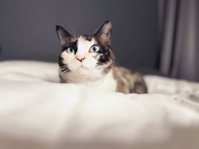 Living Her Best Life After Being Rescued