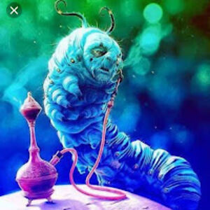 psychokramberry avatar