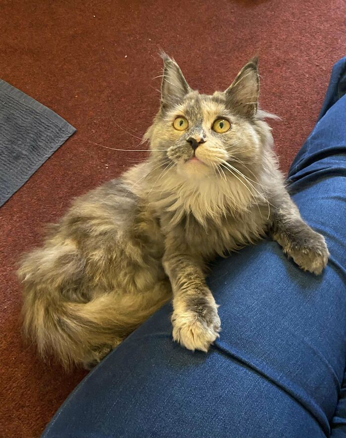 Rescued This Beauty Today