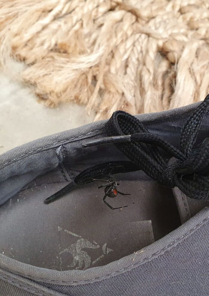 Para todos los detractores que piensan que los demás somos unos paranoicos