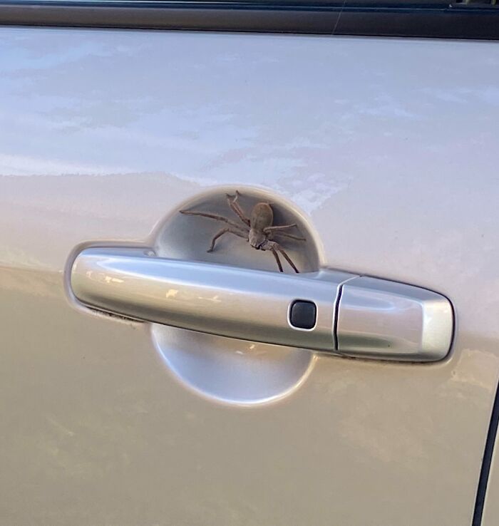 Tened cuidado ahí fuera