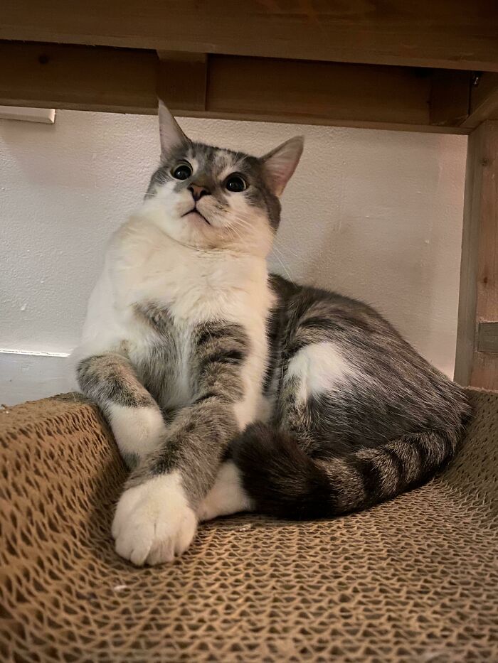 His Reaction When I Told Him He Was Adopted …