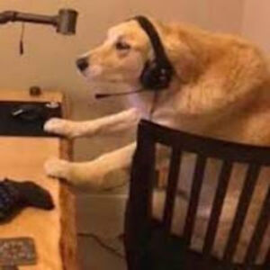 nicolasgonzalezfranco avatar