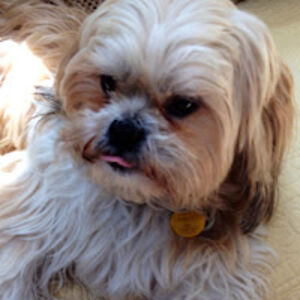 marie-charlottepopp avatar