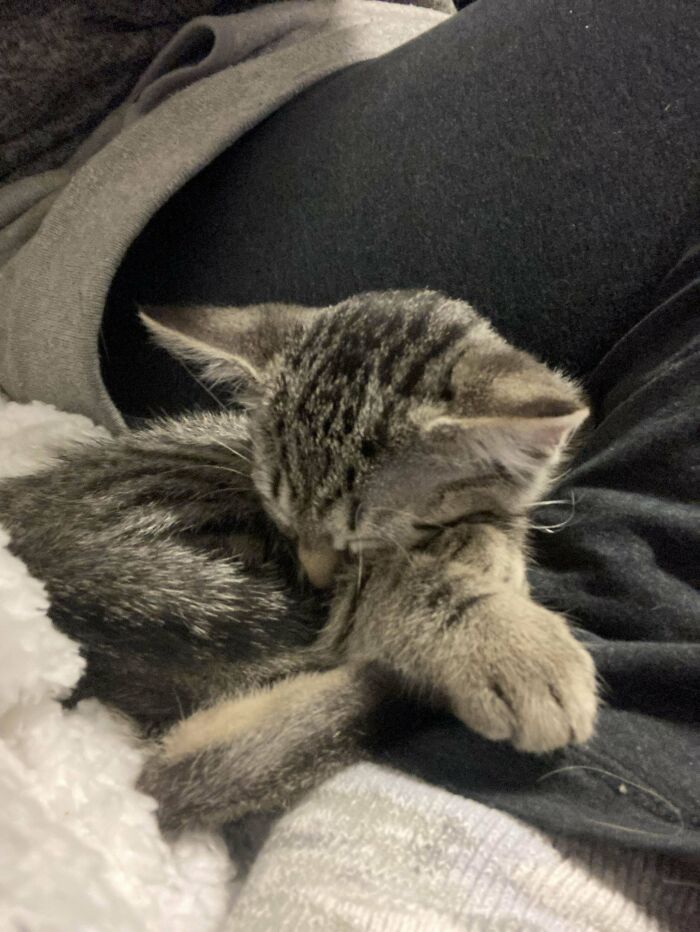 My Recently Adopted Criminal, Mira